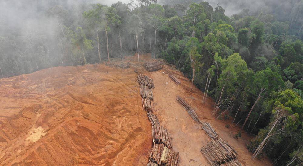 Origem da “Terra Escura da Amazônia” é revelada