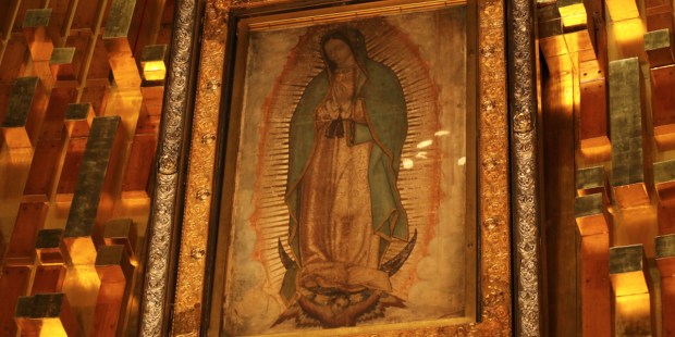 Nossa Senhora de Guadalupe: uma história de devoção