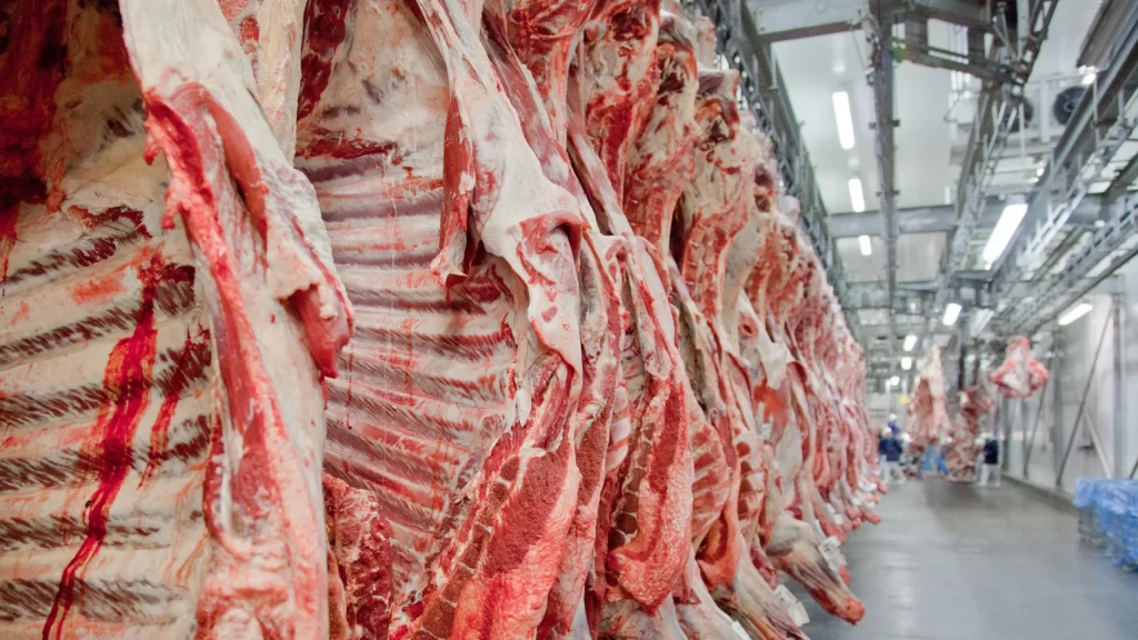 Brasil pode dobrar exportação de carne bovina com acordo Mercosul-UE, diz consultoria